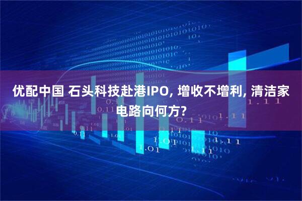 优配中国 石头科技赴港IPO, 增收不增利, 清洁家电路向何方?