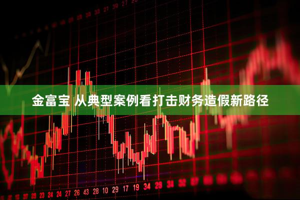 金富宝 从典型案例看打击财务造假新路径