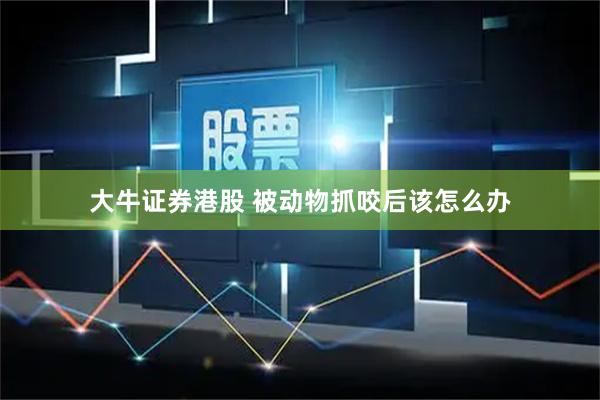 大牛证券港股 被动物抓咬后该怎么办
